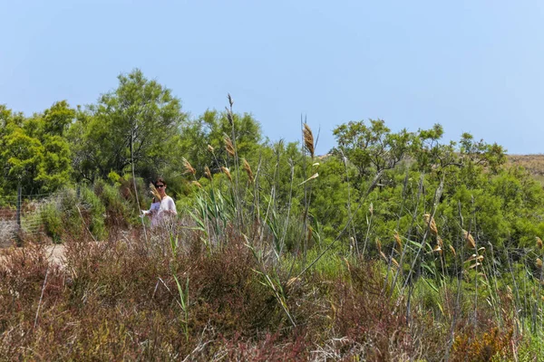 Una Persona Vegetación Del Parque Nacional Calblanque Murcia España — Foto de Stock