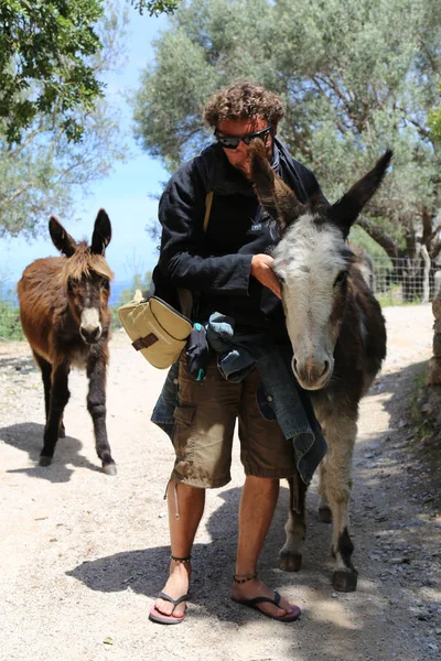 Man Cuddles Åsnan Menorca Spanien 2016 — Stockfoto