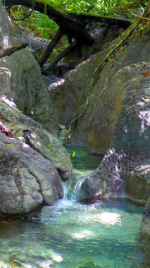 Yağmur ormanları ormanda doğal kanyonda Trekking, Teluk Mayalibit, Raja Ampat, Waigeo, Batı Papua, Endonezya