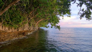 Waigeo Mayalibit koyunda Jungle Görünümü. Raja Ampat, Batı Papua, Endonezya
