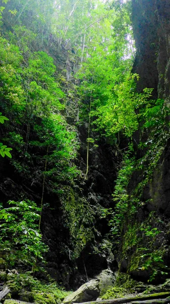 Trekking Cañón Natural Selva Tropical Teluk Mayalibit Raja Ampat Waigeo —  Fotos de Stock