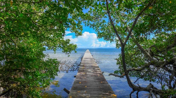 Móló Trópusi Szigeten Raja Ampat — Stock Fotó