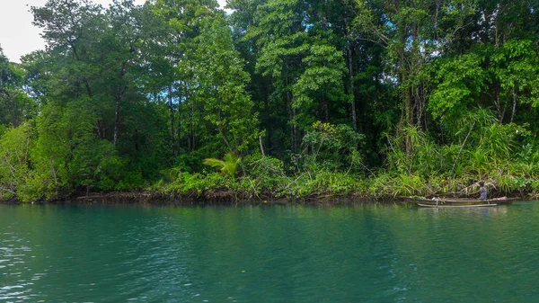 Vista Selva Baía Mayalibit Waigeo Raja Ampat Papua Ocidental Indonésia — Fotografia de Stock