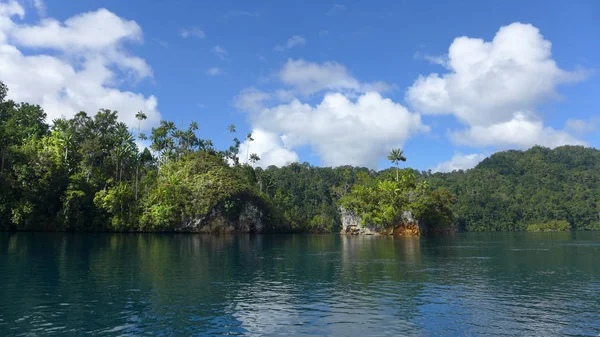 Vista Della Giungla Sulla Baia Mayalibit Waigeo Raja Ampat Papua — Foto Stock