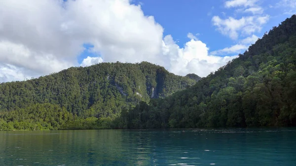 Utsikt Över Djungeln Mayalibit Bay Waigeo Raja Ampat West Papua — Stockfoto