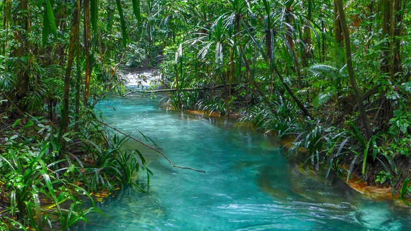 Река Калибиру Скрытая Голубая Река Маялибите Вайгео Раджа Ампат Западное — стоковое фото