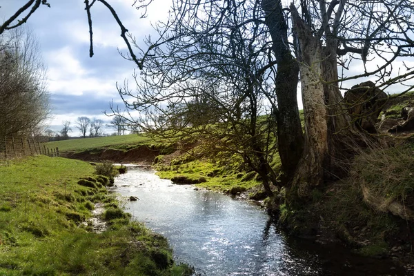 Vista Del Líder Del Río Lauder Frontera Escocesa Escocia —  Fotos de Stock