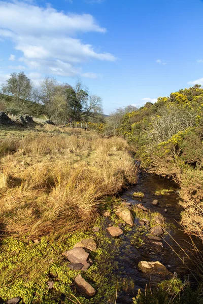 Río Las Tierras Altas Alrededor Lauder Escocia Reino Unido —  Fotos de Stock