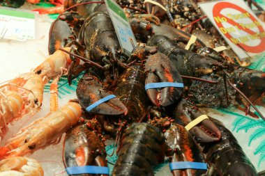 Pazar masasında taze kabuklu deniz ürünleri. Istakoz, langoustine, karides, nefron, karides
