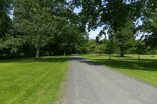 Stig Trädgårdspark Vårsäsongen — Stockfoto