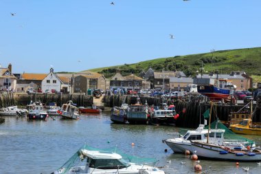Güneşli bir günde, batıdaki güzel liman manzarası Zevk tekneleri ve demirli balıkçı tekneleri. Dorset, İngiltere