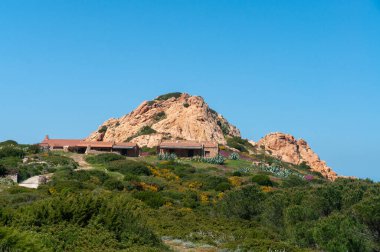 Costa Paradiso 'daki Pembe Granit Tepesi ve vahşi Akdeniz Florası. Sassari, Sardunya, İtalya