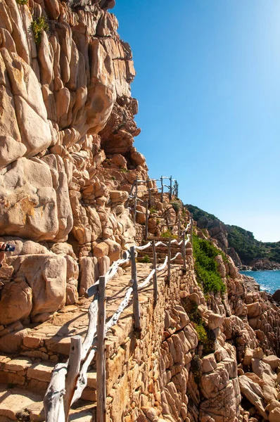 Kosta Paradiso Kanyonu Sardunya Talya Daki Pembe Granit Üzerinde Dikey — Stok fotoğraf