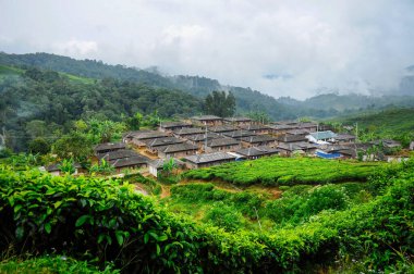 Vadinin aşağısındaki kırsal dağ köyünde, yağmur ormanları ve çay tarlaları bulutlu gökyüzüne karşı. Bogor bölgesi, Batı Java