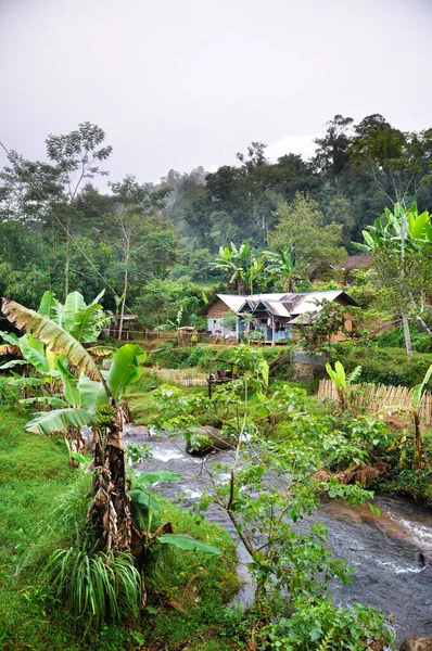 木製の橋の下の岩の川と西ジャワのジャングルの典型的な農村部のインドネシアの家と熱帯の風景 — ストック写真