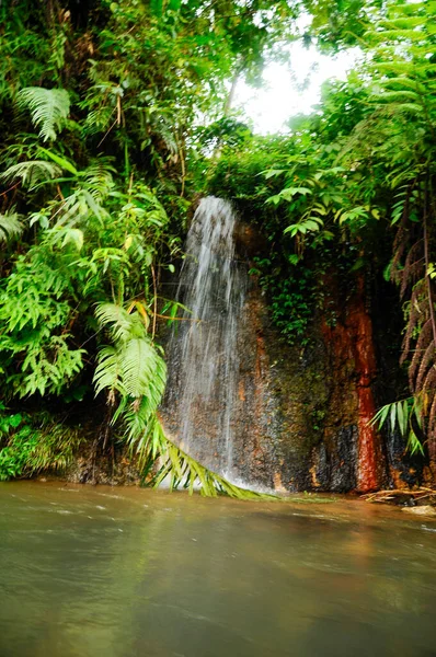 Beautiful Tropical waterfall \