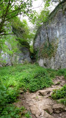 Ebbor Vadisi Ulusal Doğa Koruma Alanı 'ndaki dar bir kanyondan geçen Rocky Footpath. Wookey Hole, Wells, İngiltere