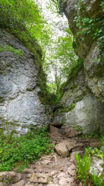 Ebbor Vadisi Ulusal Doğa Koruma Alanı 'ndaki dar bir kanyondan geçen Rocky Footpath. Wookey Hole, Wells, İngiltere