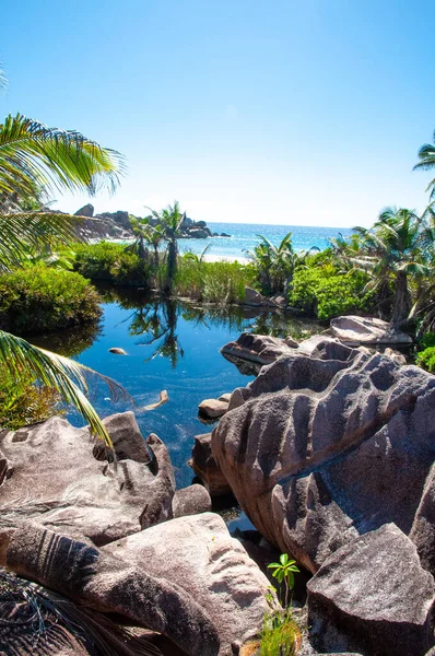 Granit Kayalar Palmiye Ağaçları Ile Tropikal Göl — Stok fotoğraf