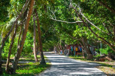 Anse Severe 'deki palmiye ağacı bölgesinde, Seyşeller' deki La Digue Adası 'nda meyve büfesi olan bir yol.
