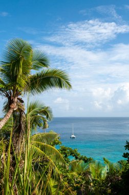 Idyllic körfezinde yüksek açılı bir Catamaran teknesinin yeşil bitki örtüsü ve Anse Cocos, La Digue Adası, Seyşeller 'de palmiye ağacı.