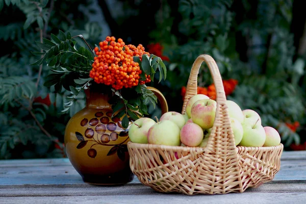 Autumn still life of apples in a basket and bunches of mountain ash, front view, horizontal