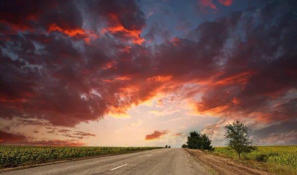 乡村沥青路离开到戏剧性的日落天空 自然背景 — 图库照片
