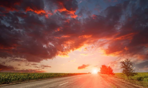 乡村沥青路走入戏剧性明亮的日落天空 — 图库照片