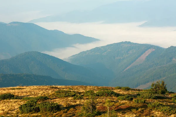 Montagnes Automne Dans Brouillard Aube Vue Aérienne — Photo