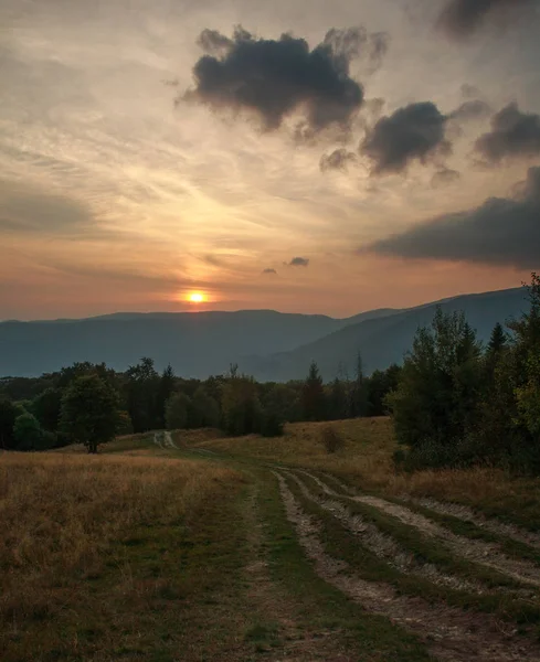 Route Dans Une Forêt Montagne Coucher Soleil Fond Ciel — Photo