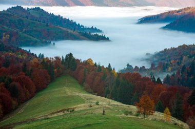 Vadi renkli manzara güzel doğa sonbahar dağlar sararmış ağaçların alanları