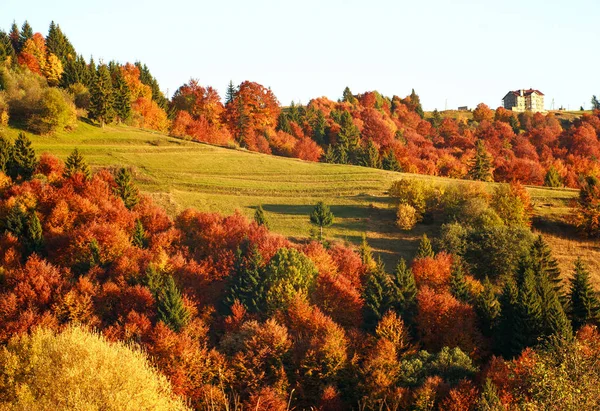 Herfst Bergen Vergeelde Bomen Velden Een Vallei Kleurrijk Landschap Schoonheid — Stockfoto
