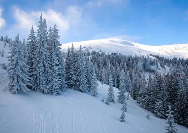 Besneeuwde Forest Bergen Winterlandschap Van Skigebied — Stockfoto