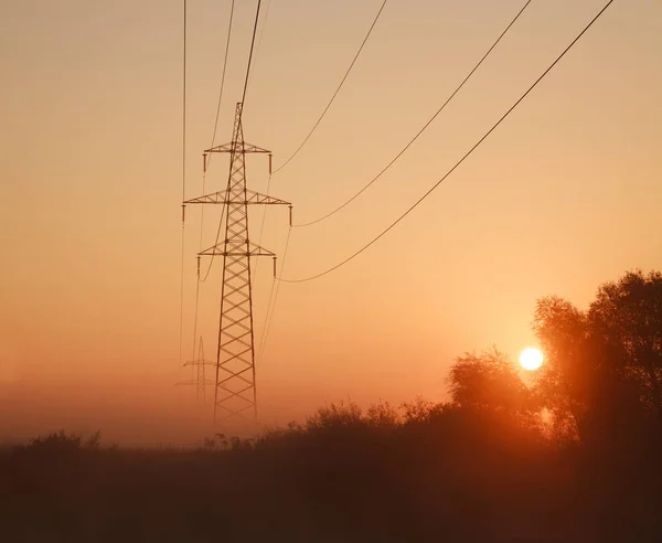 在森林日落时的阴霾中的电钢塔和电缆 野生自然中的能源概念 — 图库照片