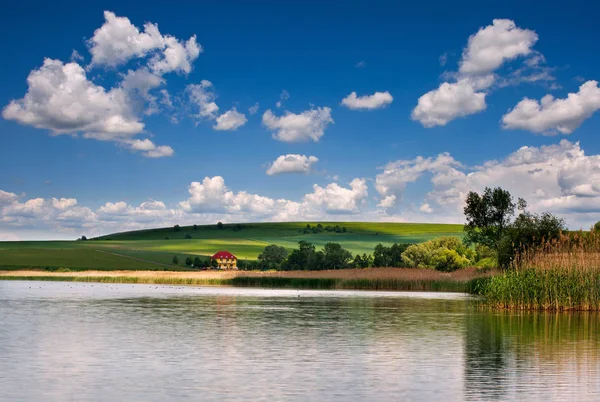 Paisaje Rural Lago Campos Verdes Pastos Fondo Del Cielo Azul — Foto de Stock