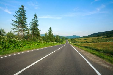 Ormanlar arasında Karpat dağlarında boş asfalt yol