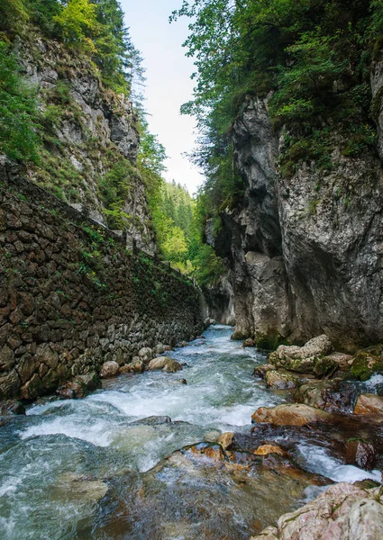 Fluss Wasser fließt in Gebirgsschlucht zwischen Steinen und Bäumen, bicaz — Stockfoto