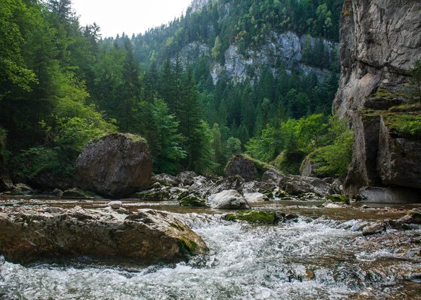 Fluss Wasser fließt in Gebirgsschlucht zwischen Steinen und Bäumen, bicaz — Stockfoto