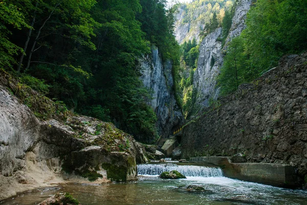 Écoulement de l'eau de la rivière dans les gorges de montagne parmi les pierres et les arbres, Bicaz — Photo