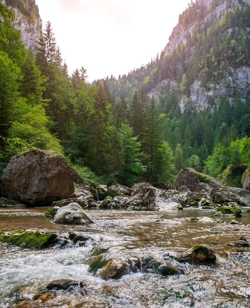 Fluss Wasser fließt in Gebirgsschlucht zwischen Steinen und Bäumen, bicaz — Stockfoto