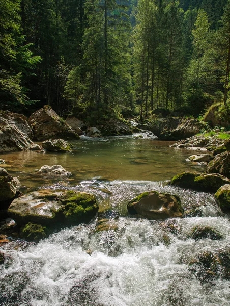 Rio fluxo de água no desfiladeiro da montanha entre pedras e árvores, Bicaz — Fotografia de Stock