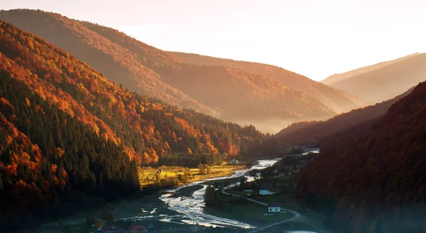 Dağ vadisindeki nehir sonbahar renkli ormanlarla kaplıdır. — Stok fotoğraf