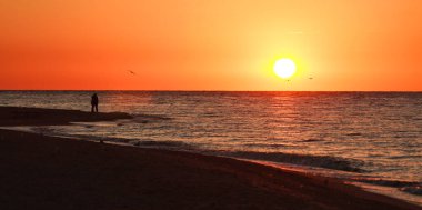 Denizin üzerinde renkli ve dramatik bir gün doğumu ve uçan kuşların siluetleriyle kumlu bir plaj.