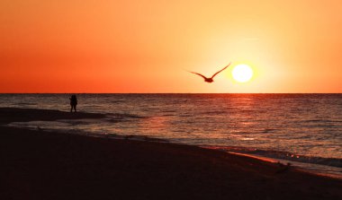 Denizin üzerinde renkli ve dramatik bir gün doğumu ve uçan kuşların siluetleriyle kumlu bir plaj.