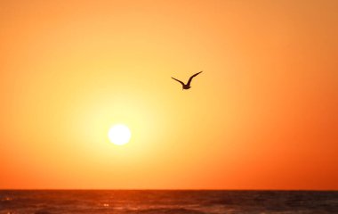 Denizin üzerinde renkli ve dramatik bir gün doğumu ve uçan kuşların siluetleriyle kumlu bir plaj.