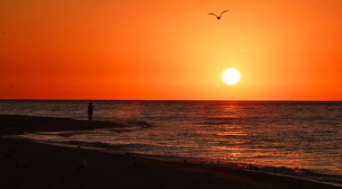 Denizin üzerinde renkli ve dramatik bir gün doğumu ve uçan kuşların siluetleriyle kumlu bir plaj.