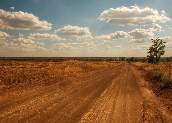 Kırsal kesimde toprak yol tarlaların arka planında ve bulutlu gökyüzü