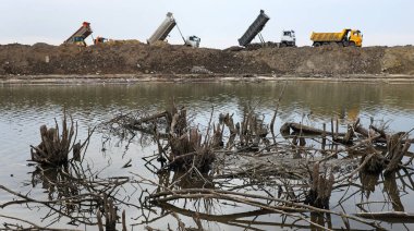 Toprakla kaplı bir çöp ve enkaz, ekoloji, ölü ağaçlar ve su bir resim sakin bir su birikintisi ... 