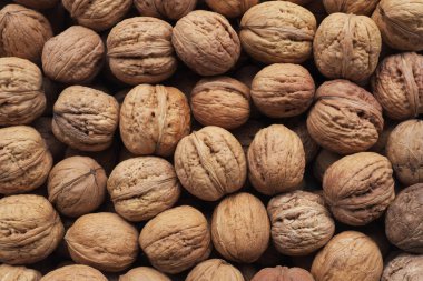 Ceviz diyet, sağlıklı gıda her gün için ön planda ... 