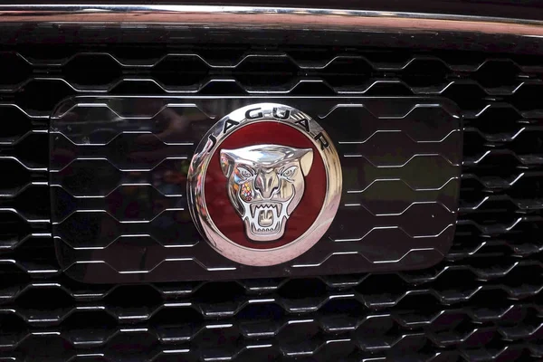 Nowe Logo Czarnego Jaguara Słynnego Modelu Samochodu Jaguar Bestia Sportowa — Zdjęcie stockowe